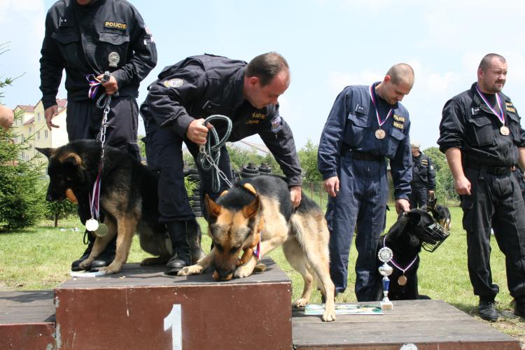 Krajské přebory policejních psů