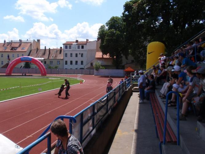L - psovodi
