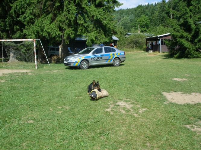 Letní tábor Prostějov