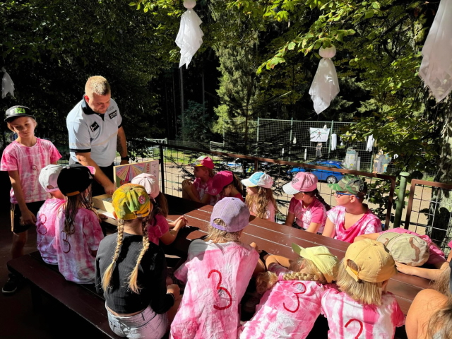 Letní preventivní aktivity