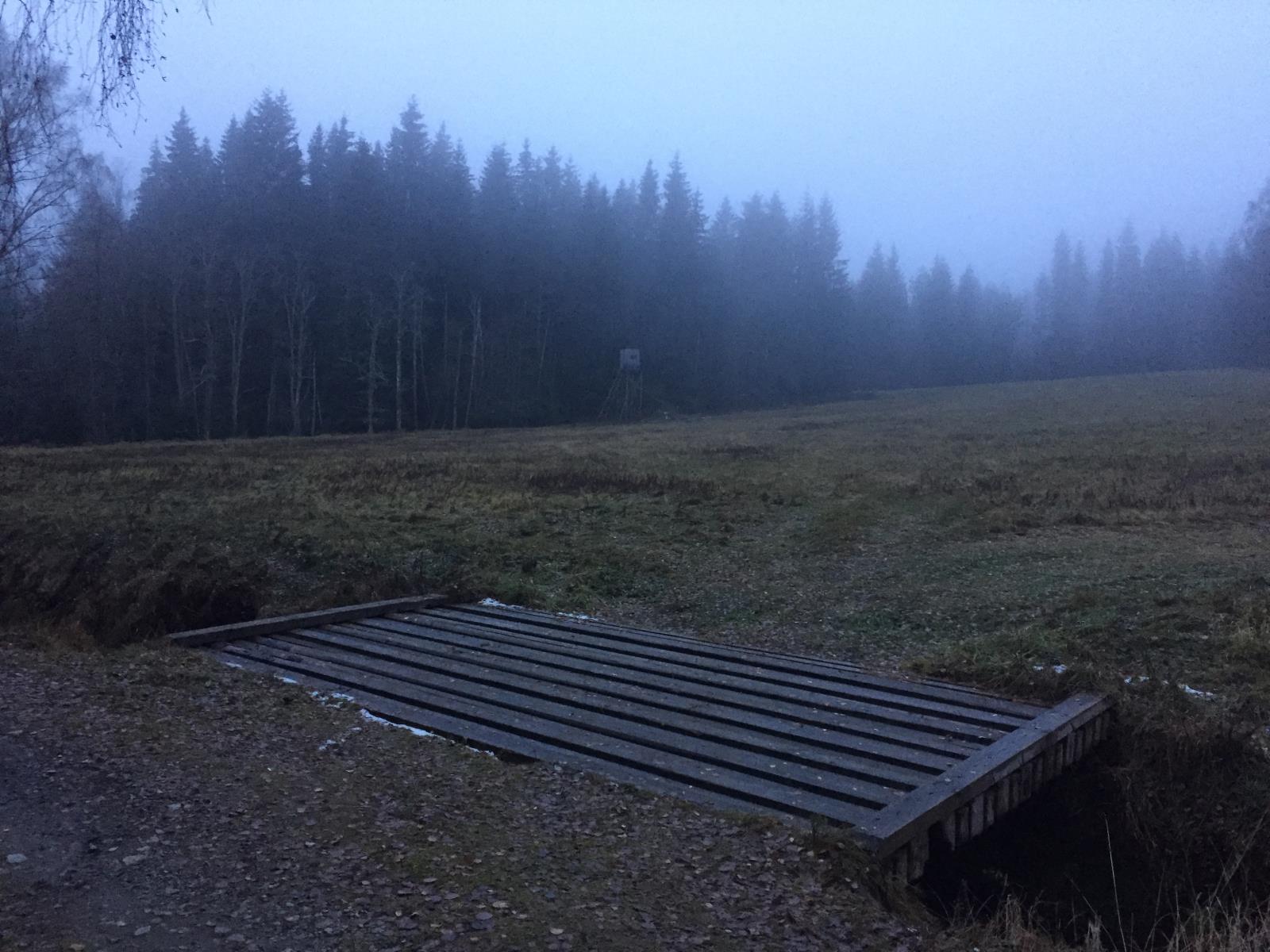 Louka u Schwarzenberského kanálu směrem k rozcestníku Klápa VII.JPG