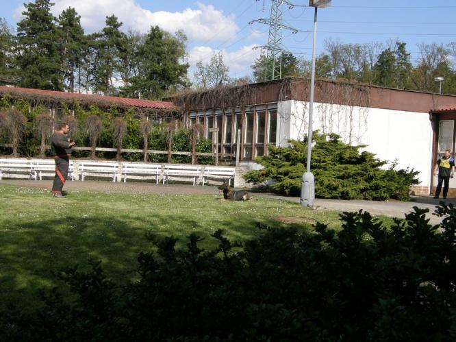 MMSP 2011 