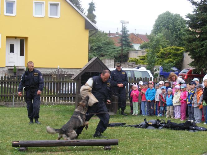 MŠ Velká Dobrá - zadržení pachatele služebním psem