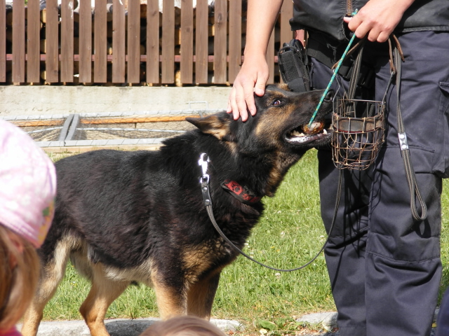 MŠ Želeč - 25. 5. 2011 - 05.jpg