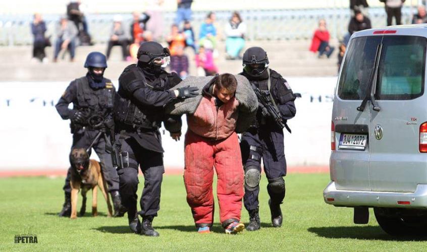 MS belgických ovčáků foto č. 4