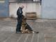 MŠ navštívila policejní složky
