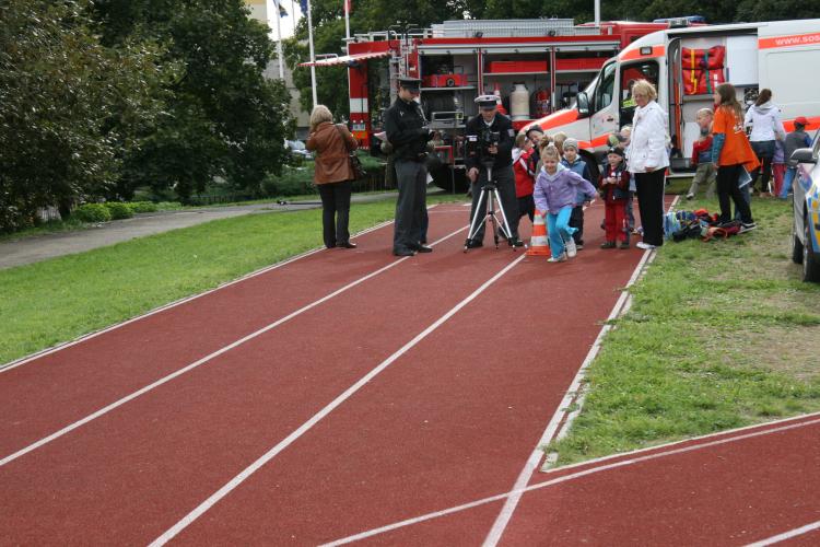 Mendelánkování 11