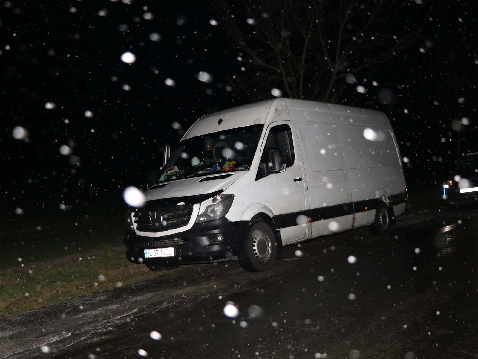 Mercedes_1.jpg