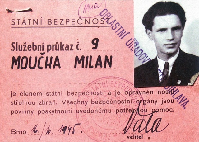 Moučka ve střední velikosti.jpeg