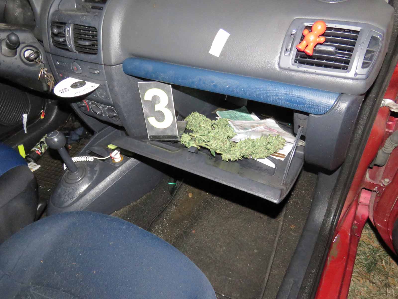 NM_auto_1.jpg