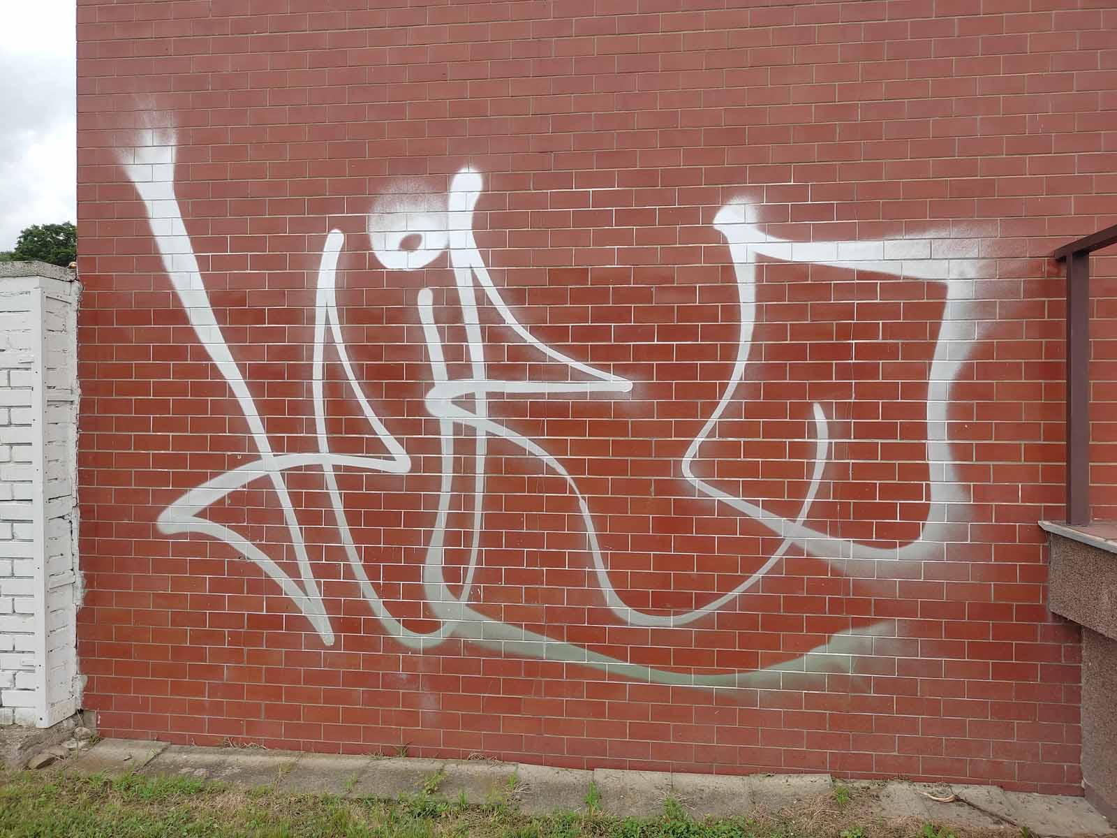NP_sprejer_2.jpg