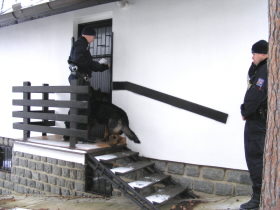 Na schodech chaty.jpg