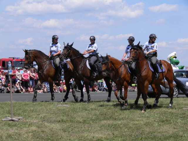 Na akci se předvedla také jízdní policie