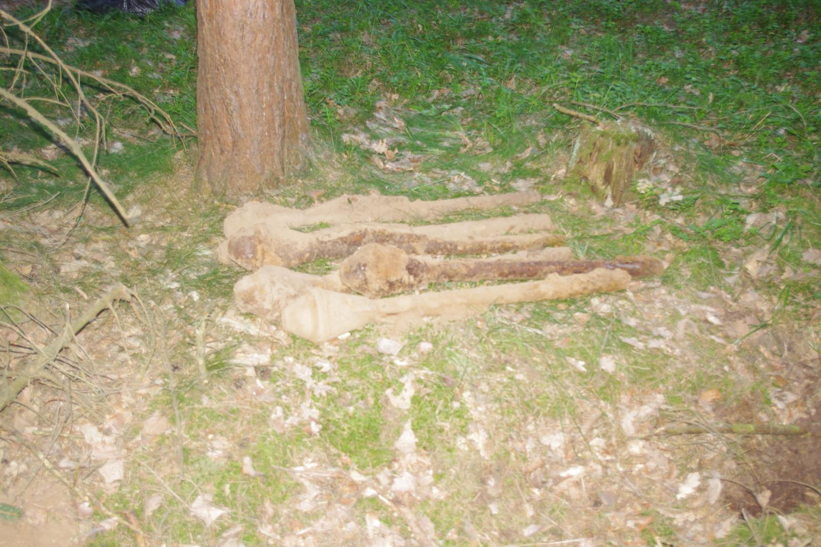 Nález panceřových pěstí III.