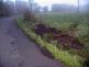 Nehoda