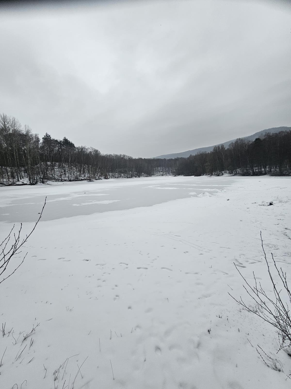 Oprám