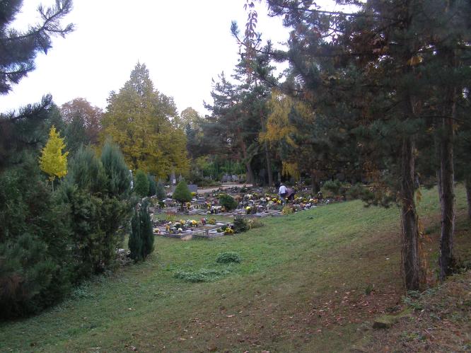 P1010009.JPG
