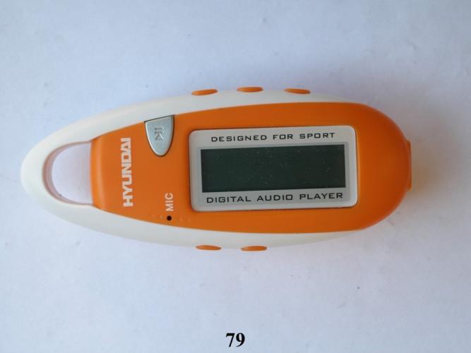 P1010118