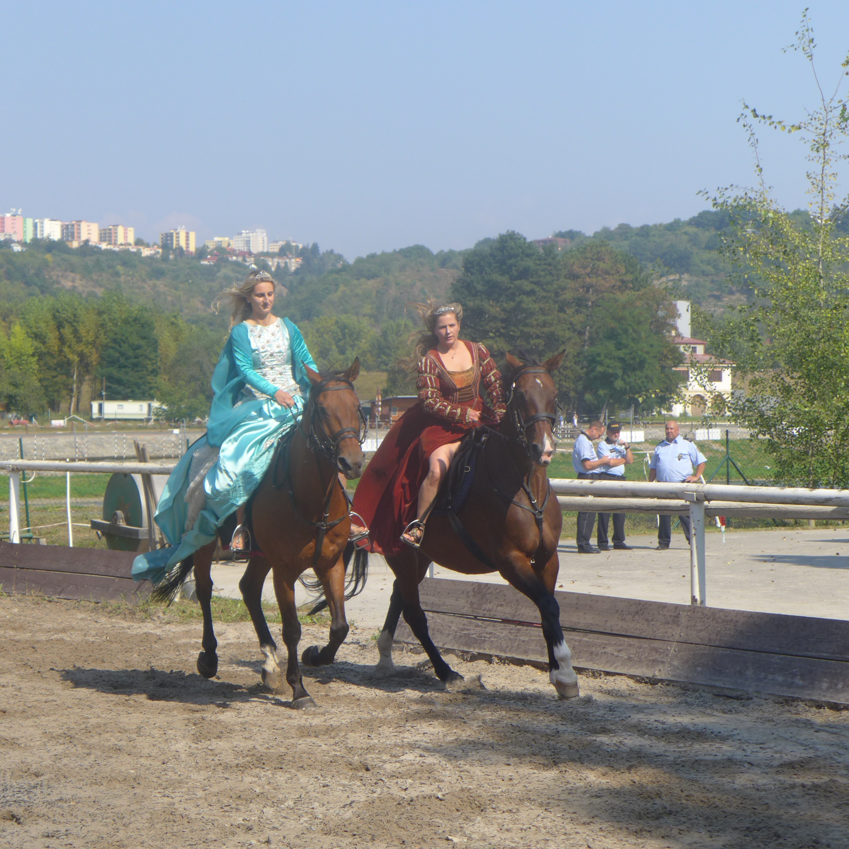 P1020477.JPG