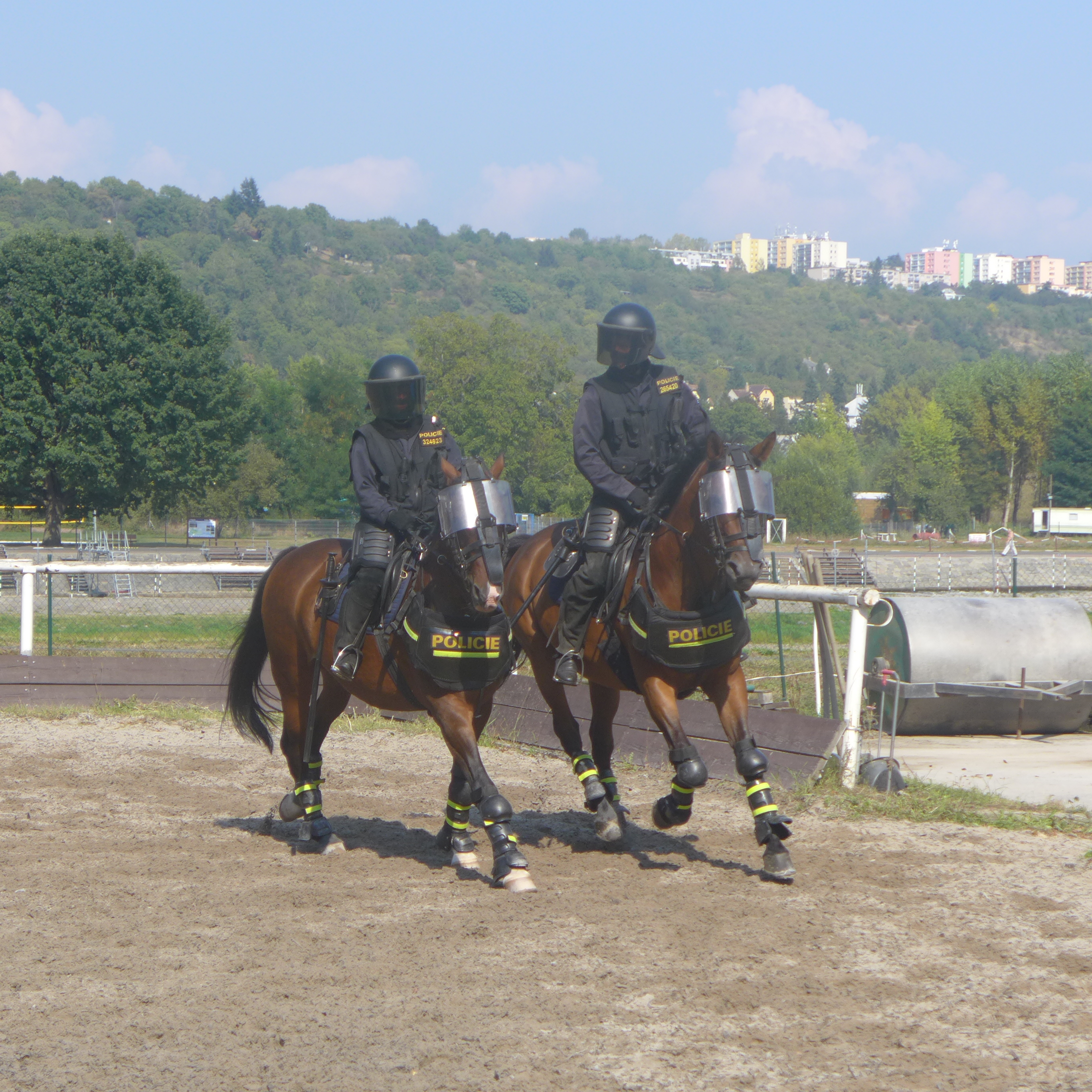 P1020515.JPG