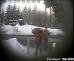 Pachatel 1_pachatel 2(1)