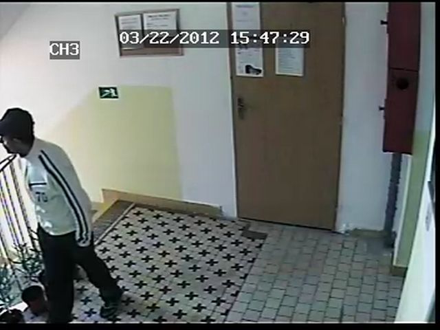 Pachatel krádeže 2