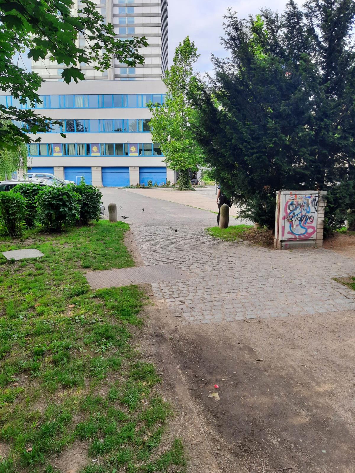 Park 2.jpg