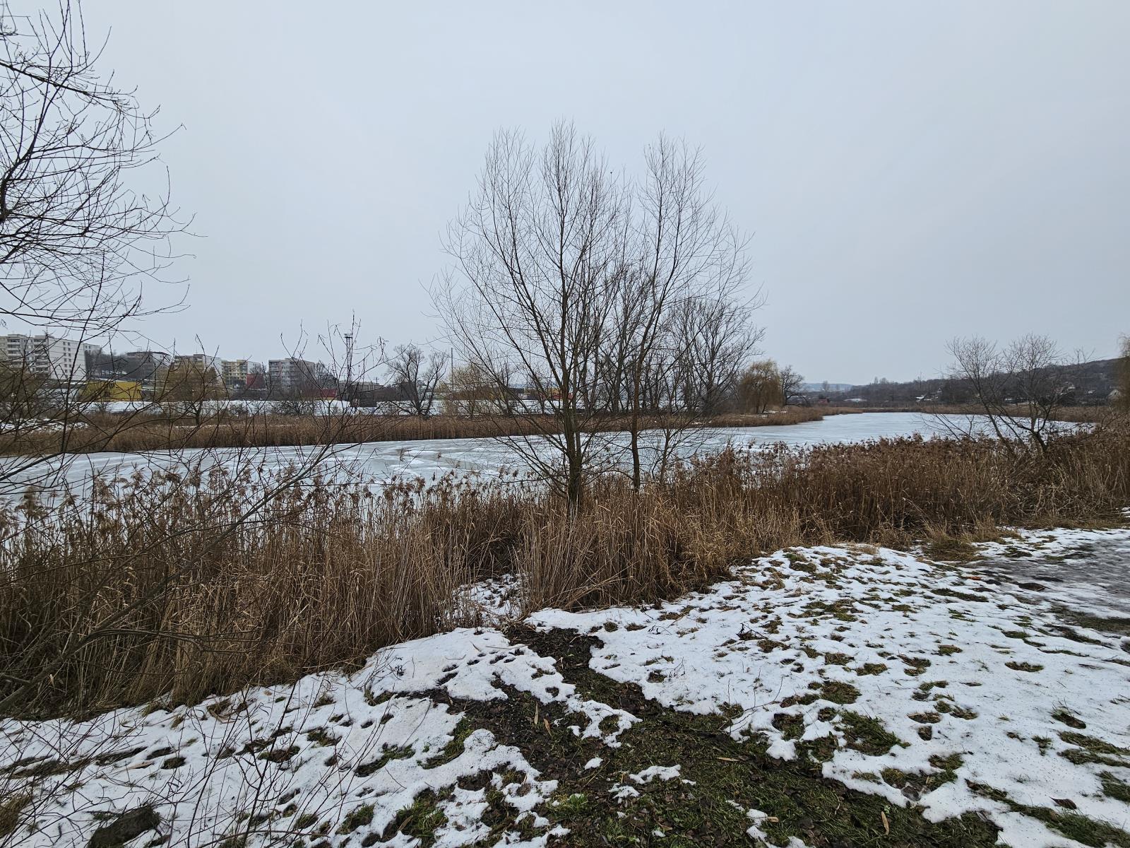 Patokryje