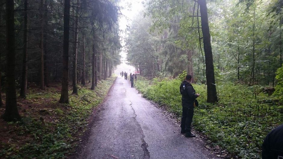 Pátrací akce po pohřešovaném