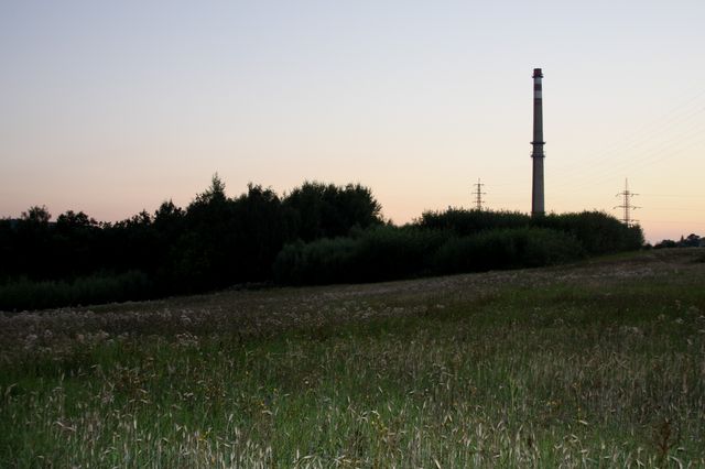 Pátrání po houbaři