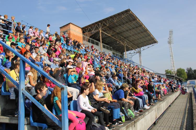 Pes - pomocník všech