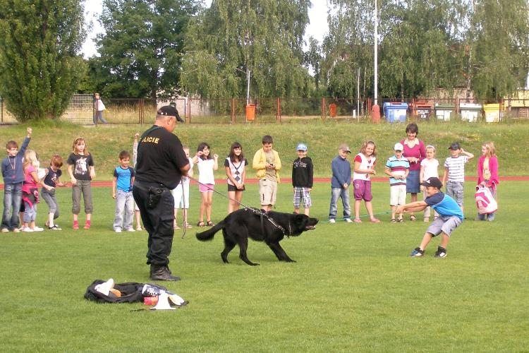 Pes zdolal několik protivníků