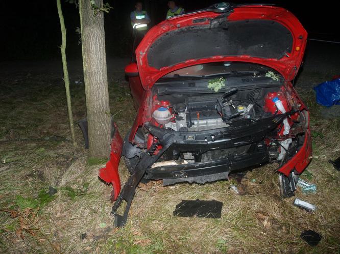 Petrovice 11.8.2010