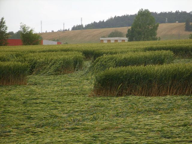 Piktogram2.JPG