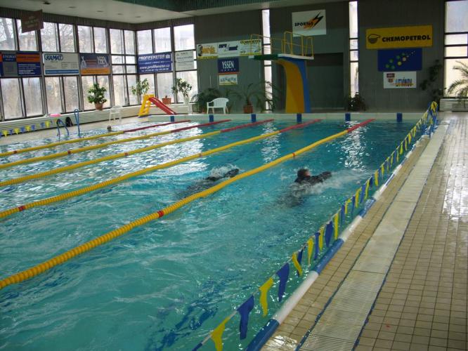 Plavání 2012
