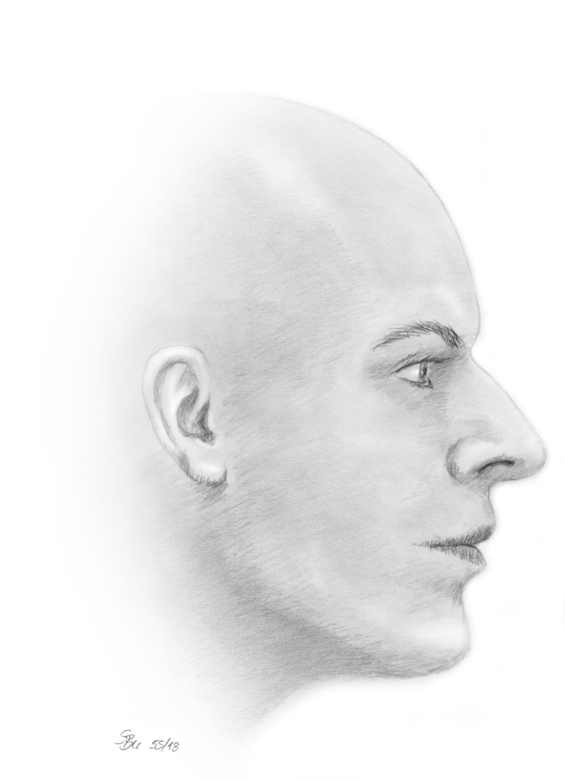 Podobizna ženy