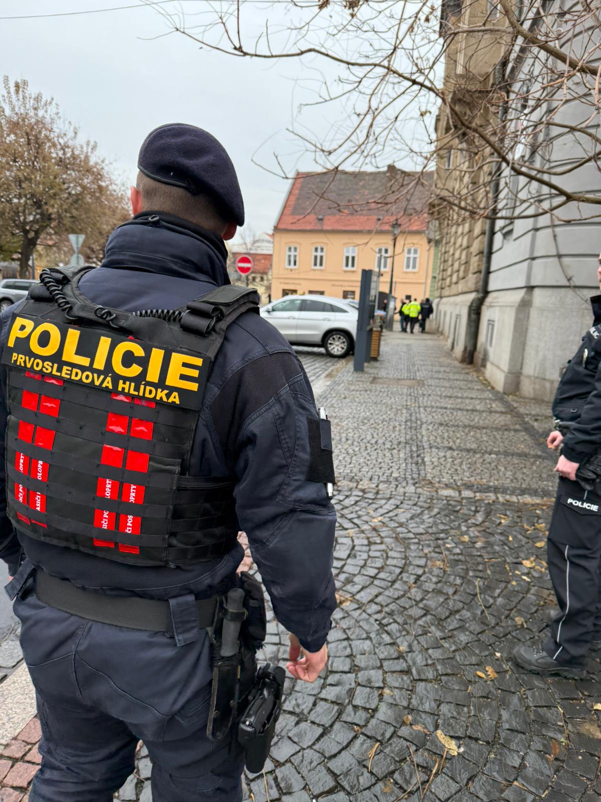 Policejní kontroly