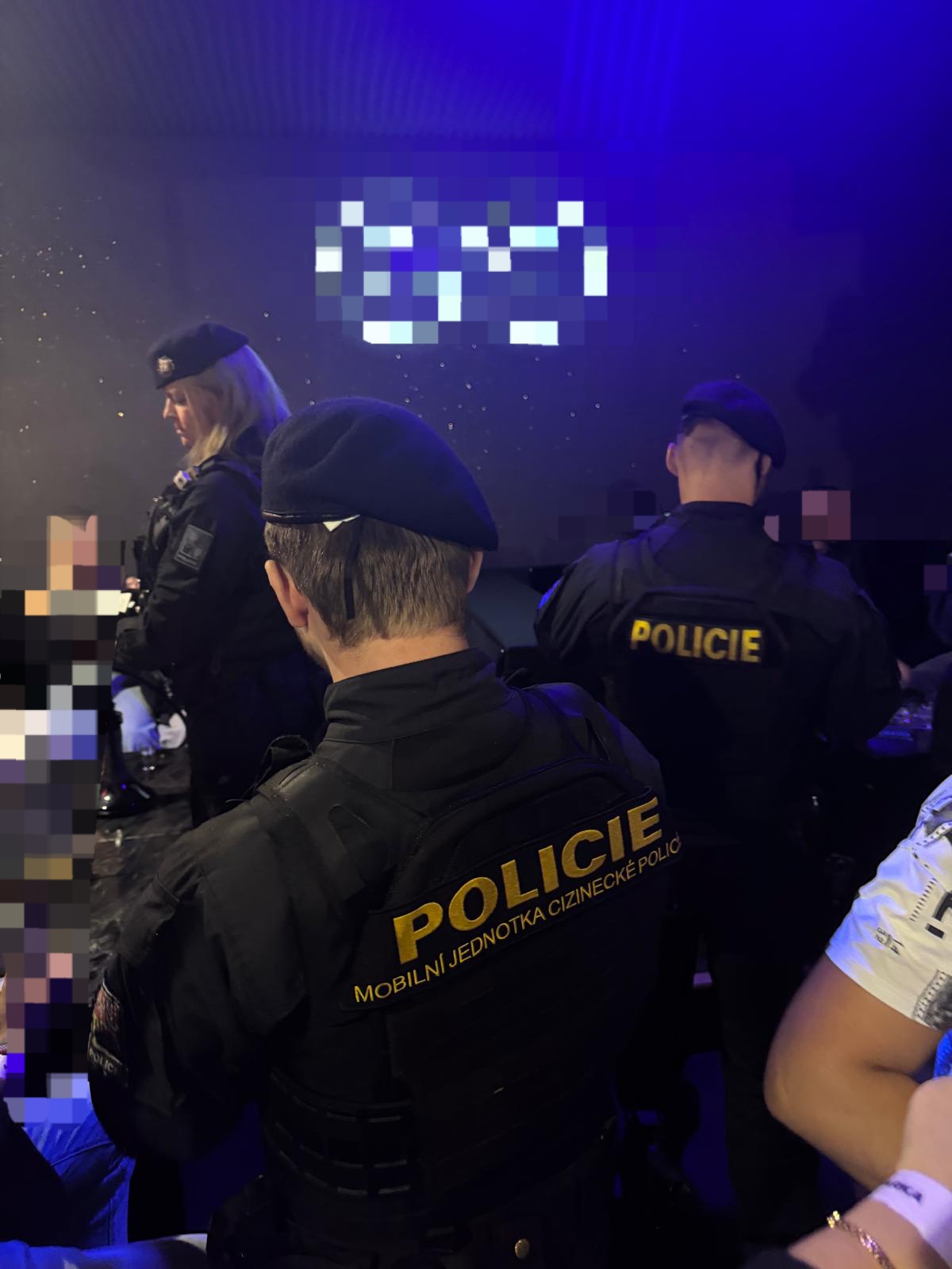 Policejní akce 1