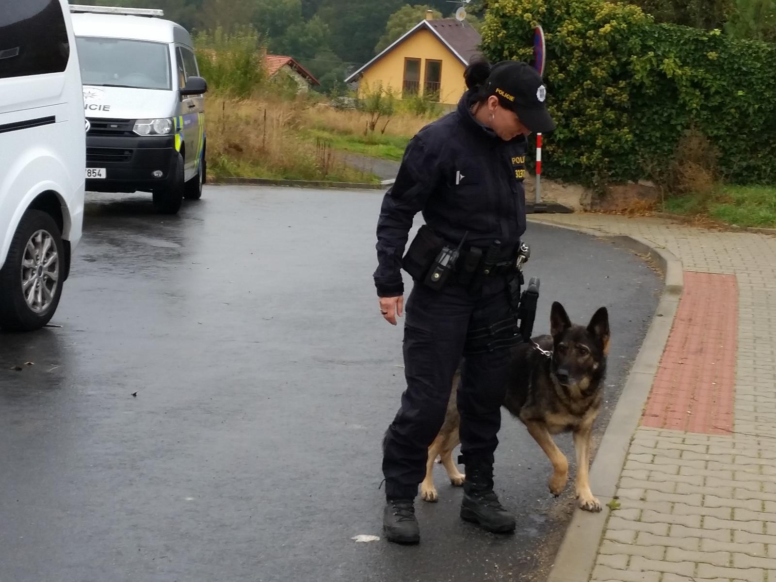 Policejní kontroly v oblasti novostaveb a rozestavěných domů