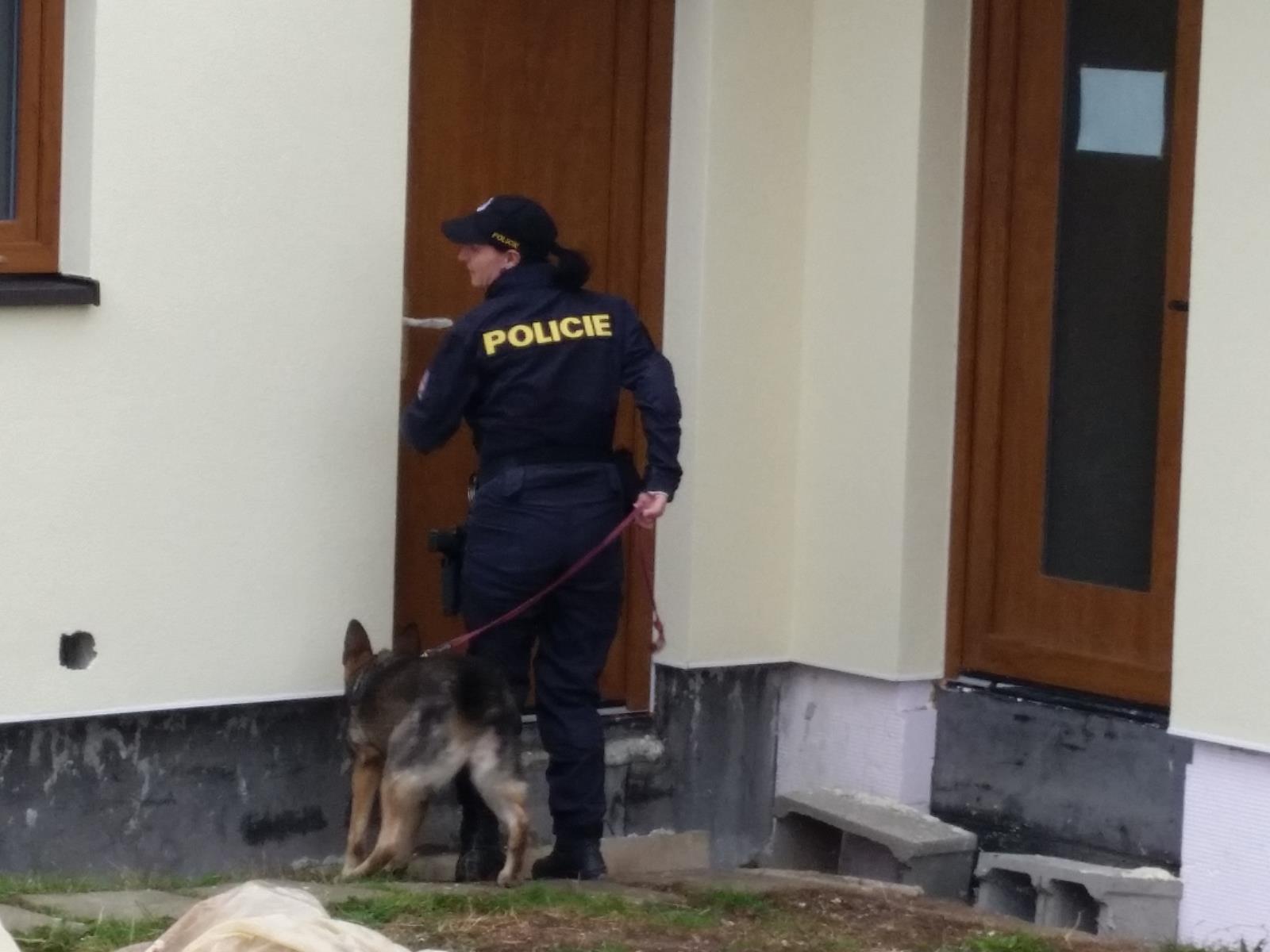 Policejní kontroly v oblasti novostaveb a rozestavěných domů