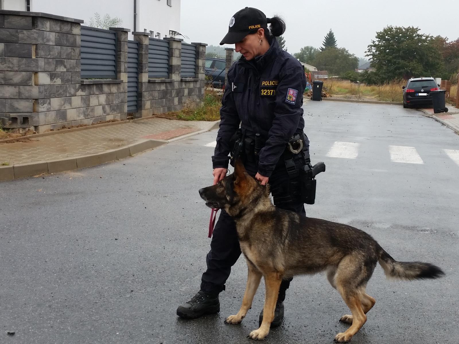 Policejní kontroly v oblasti novostaveb a rozestavěných domů