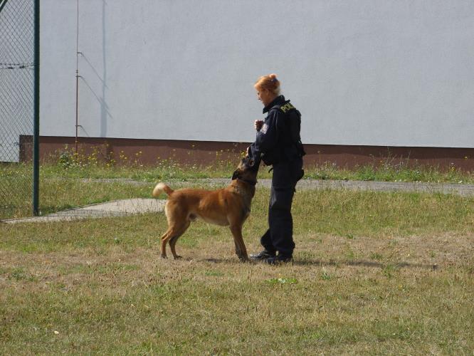 Policejní návštěva na příměstském táboře
