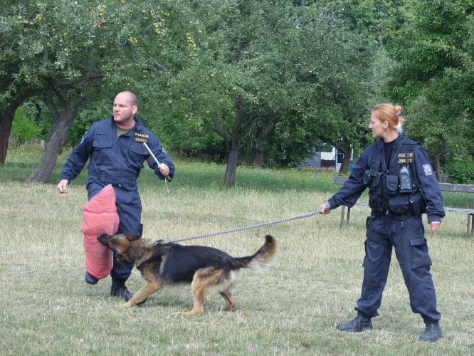 Policejní návštěva na příměstském táboře