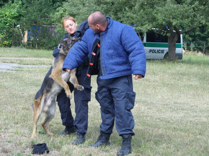 Policejní návštěva na příměstském táboře