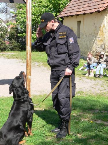 Policie na letních táborech.JPG