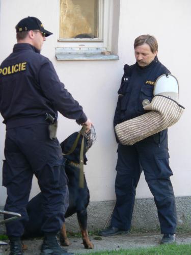 Policie na letních táborech.JPG