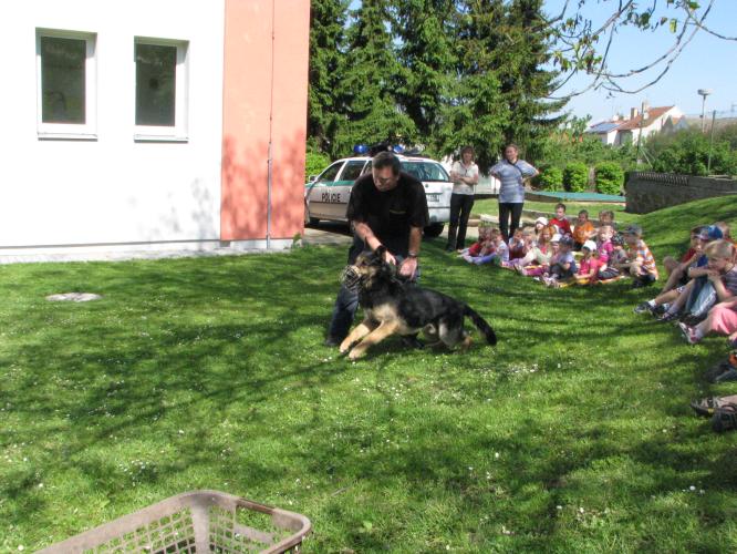 Policie v 15. MŠ 
