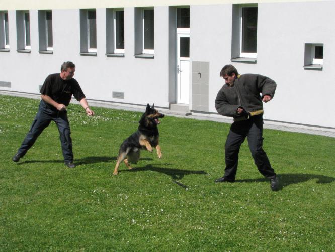 Policie v 15. MŠ 