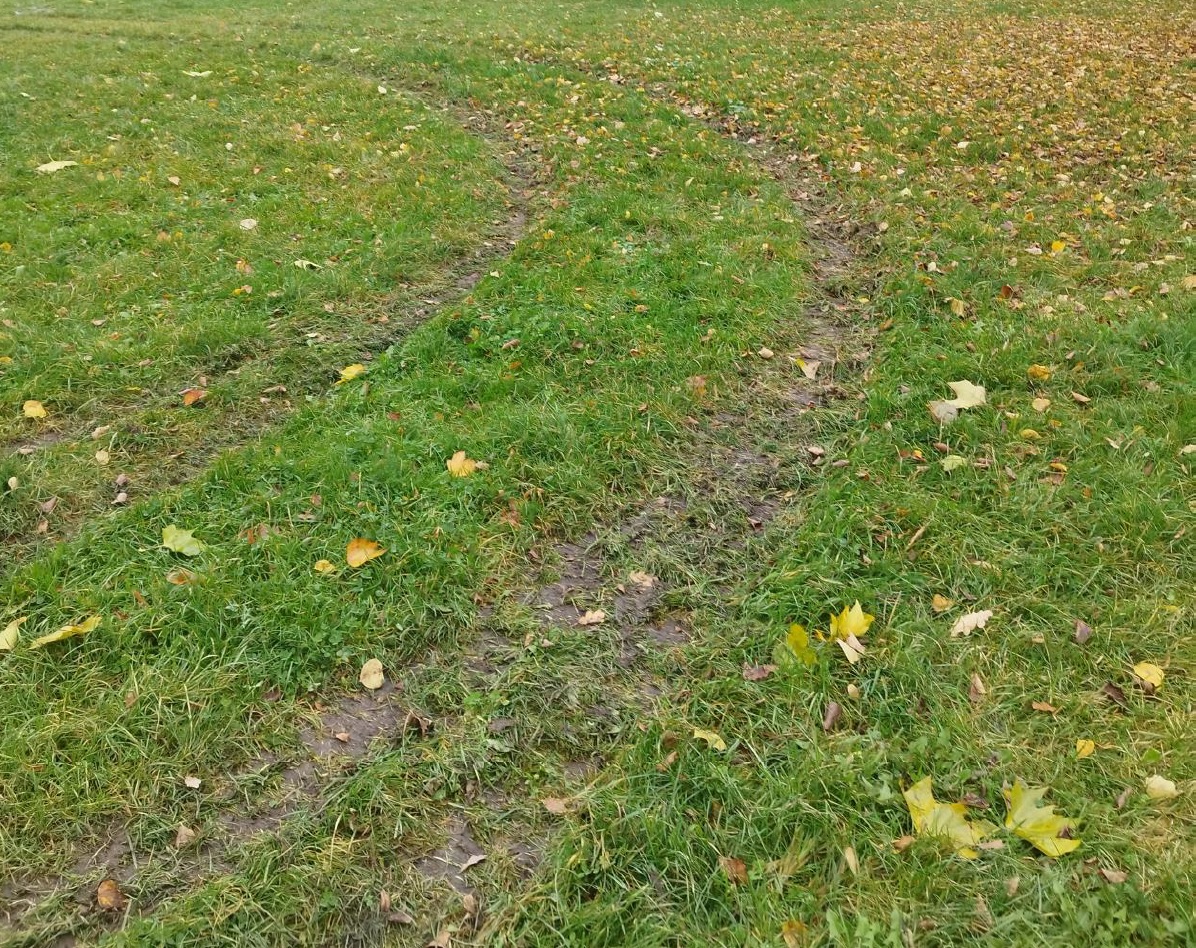 Poničený travnatý porost