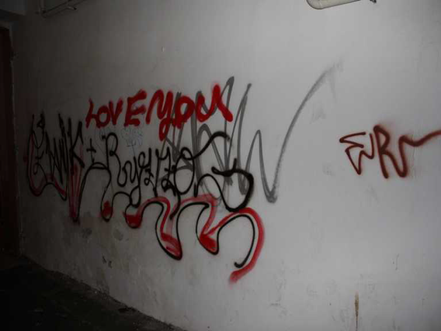 Poškození cizí věci 